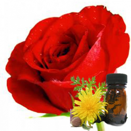 Florais também para as plantas